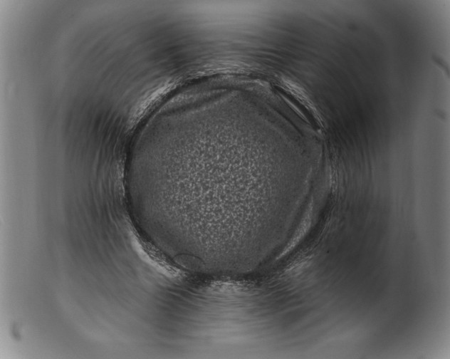 X0000099470538200805231832