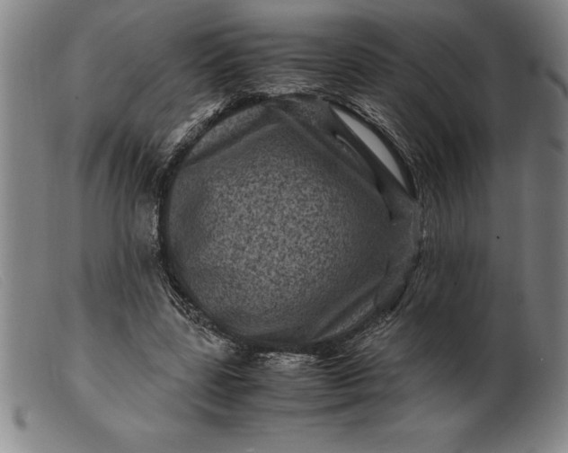 X0000099470539200805231832