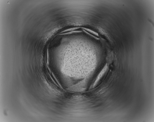 X0000099470540200805231832