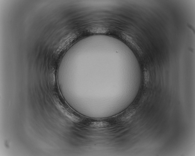 X0000099470541200805231832
