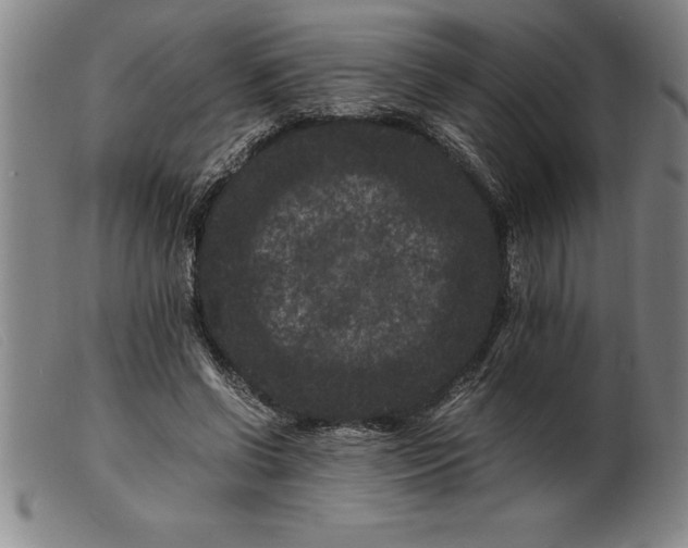 X0000099470542200805231832
