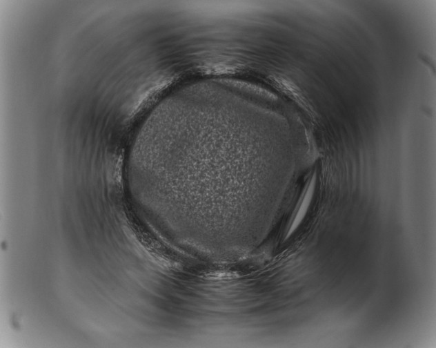 X0000099470543200805231832