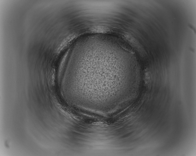 X0000099470544200805231832
