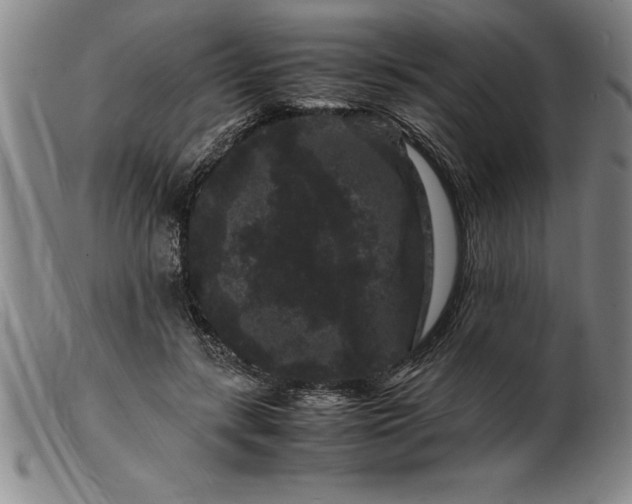 X0000099470547200805231833