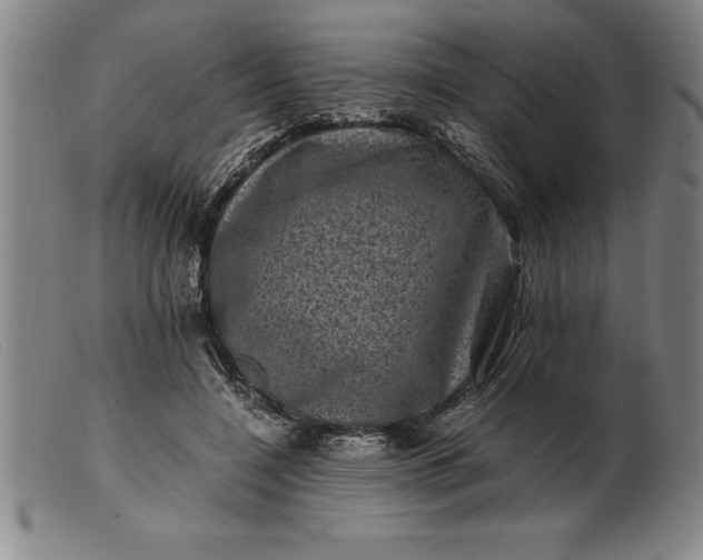 X0000099470548200805231833