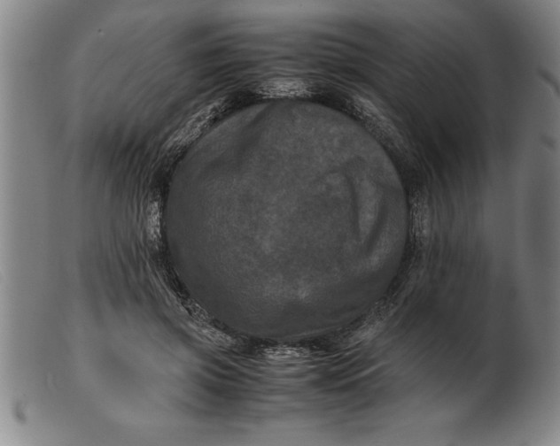X0000099470549200805231833