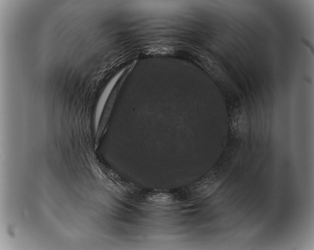 X0000099470551200805231833