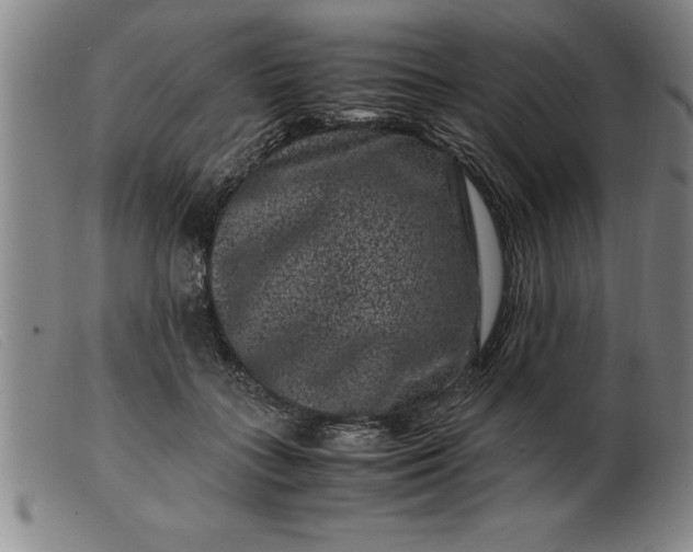 X0000099470555200805231833