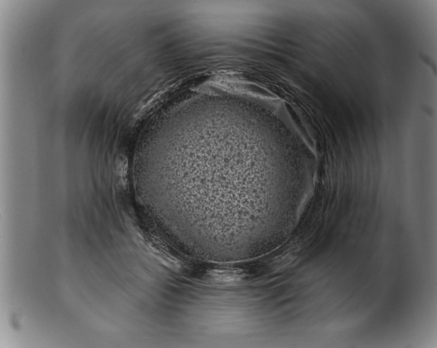 X0000099470556200805231833