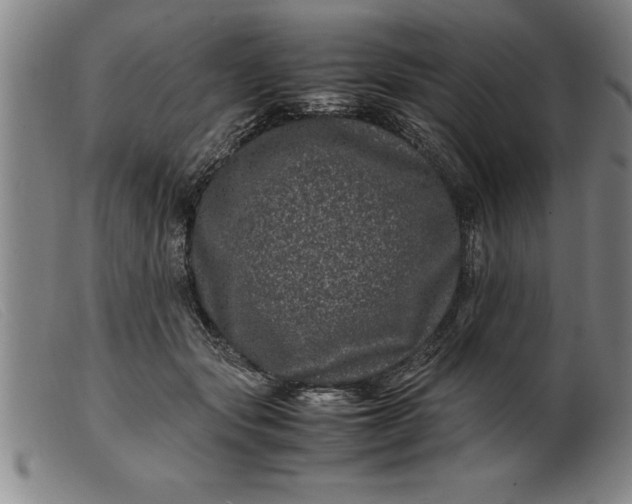 X0000099470557200805231833