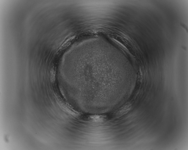 X0000099470558200805231833