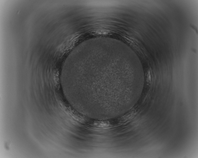 X0000099470559200805231833