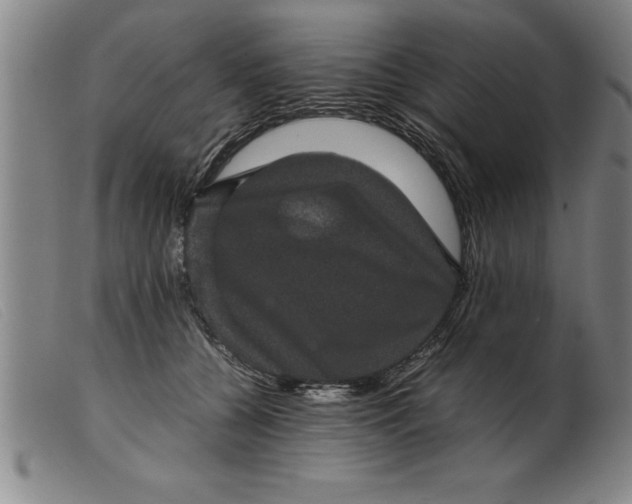 X0000099470560200805231833