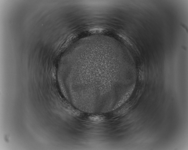 X0000099470561200805231833