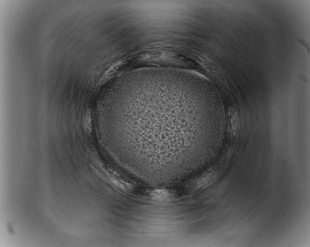 X0000099470562200805231833