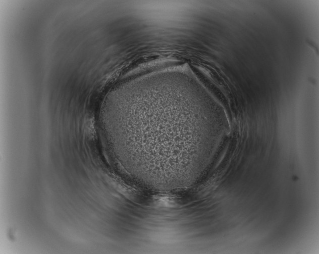 X0000099470564200805231833