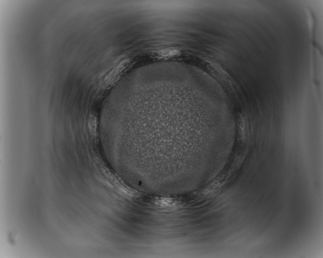 X0000099470565200805231833