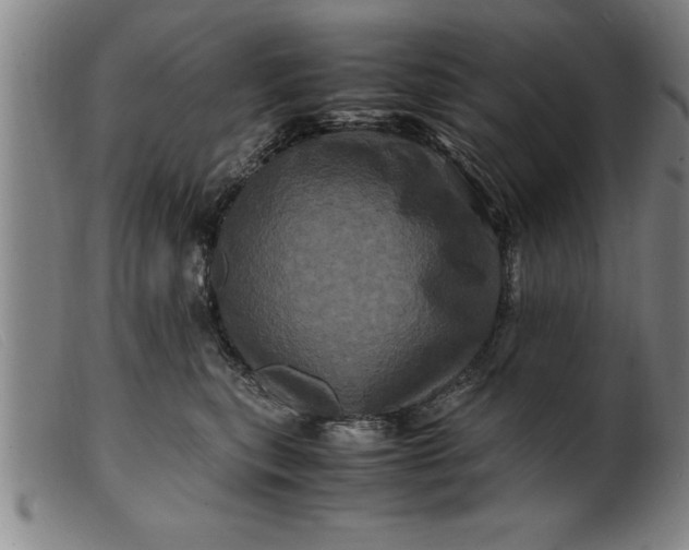 X0000099470567200805231833