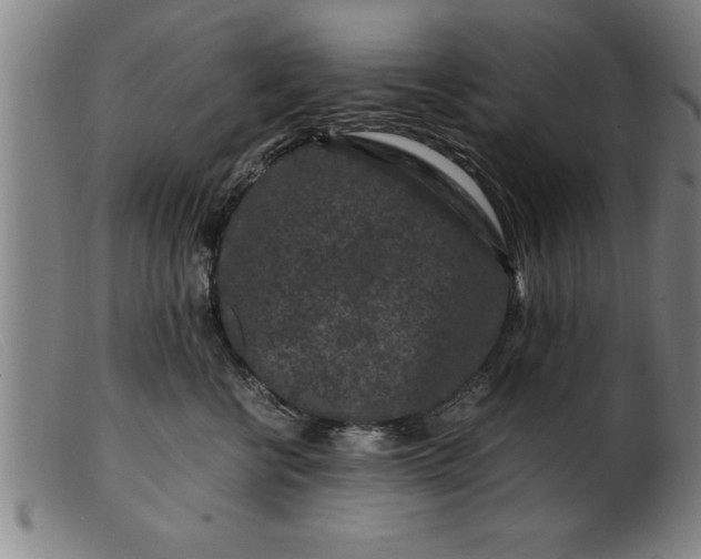 X0000099470570200805231833