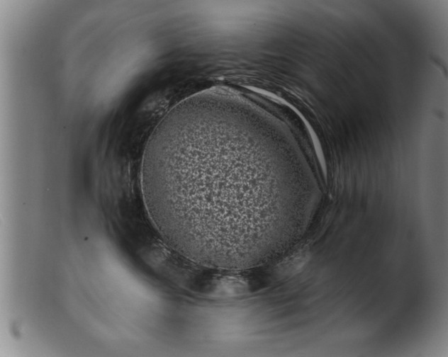 X0000099470572200805231833