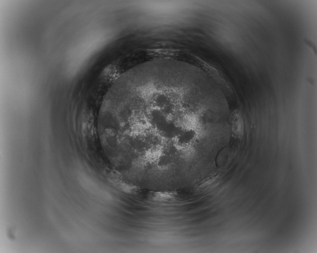 X0000099470573200805231833