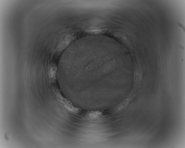 X0000099470576200805231833