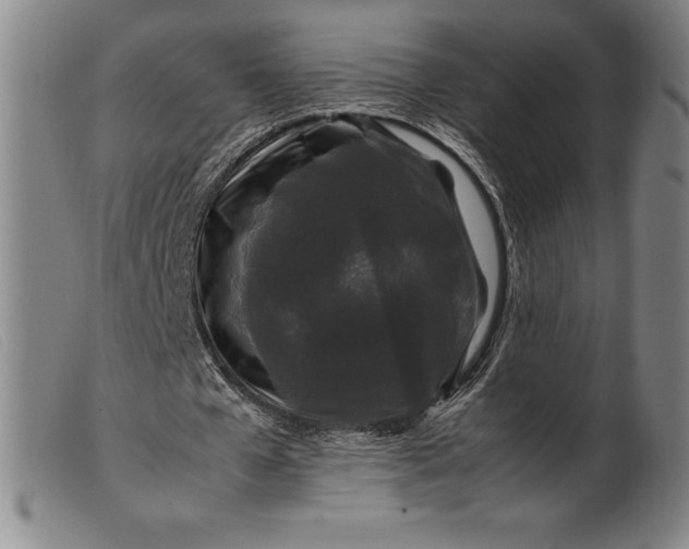 X0000099470577200805231832