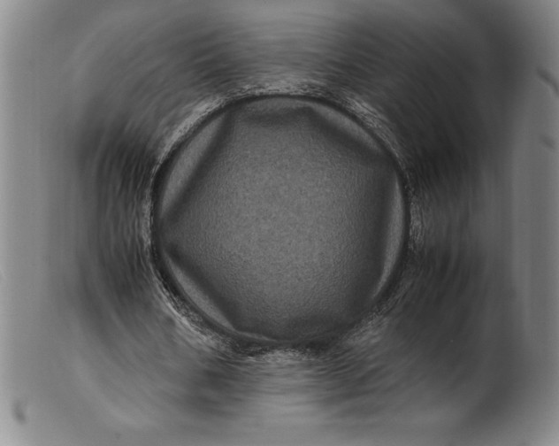 X0000099470578200805231832