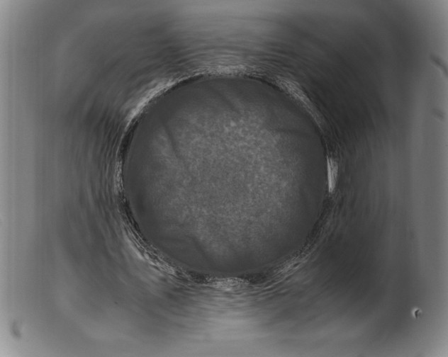 X0000099470579200805231832