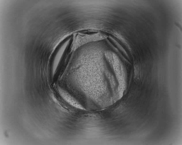 X0000099470580200805231832