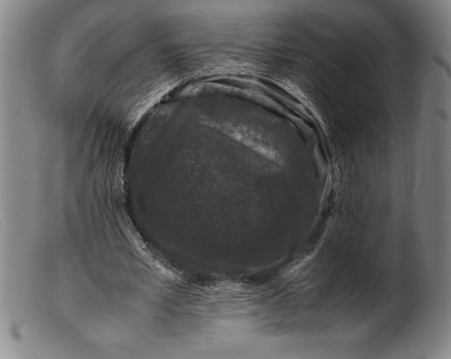 X0000099470581200805231832