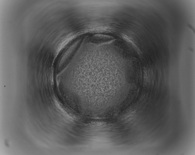 X0000099470582200805231832