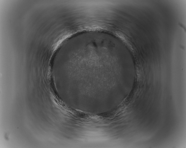 X0000099470583200805231832