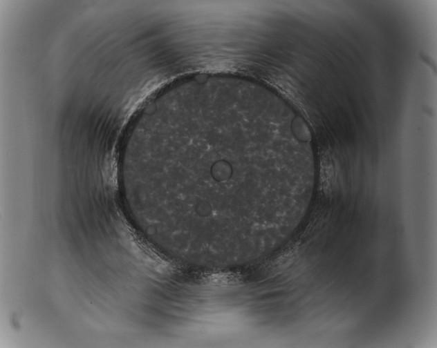 X0000099470584200805231832