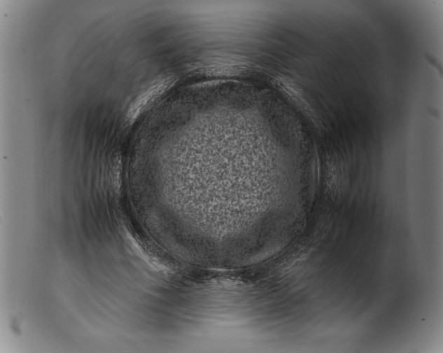 X0000099470586200805231832