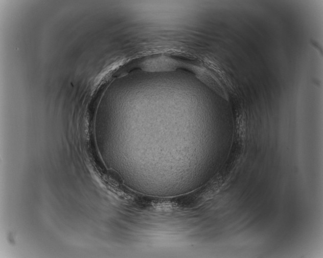 X0000099470587200805231832