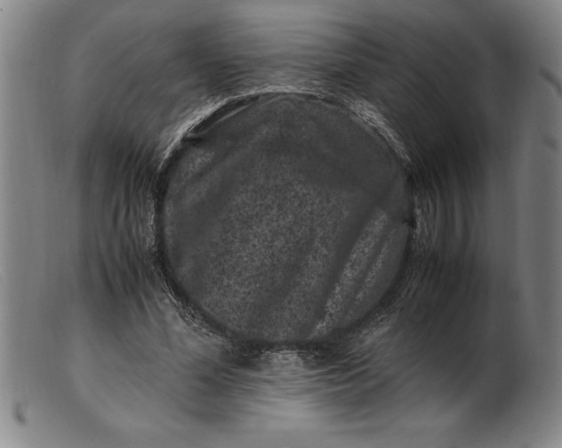X0000099470588200805231832