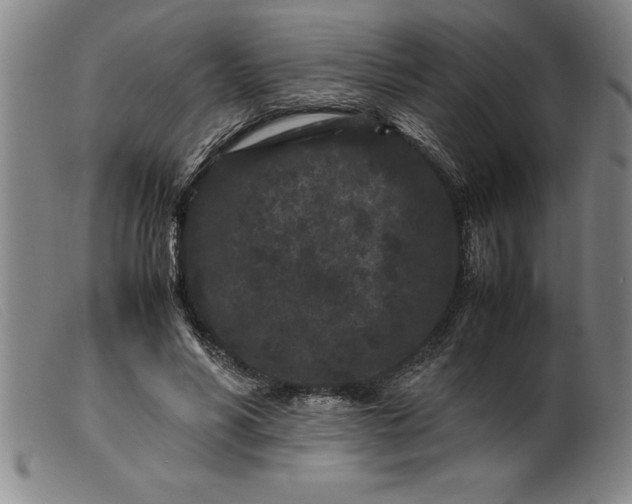 X0000099470590200805231832