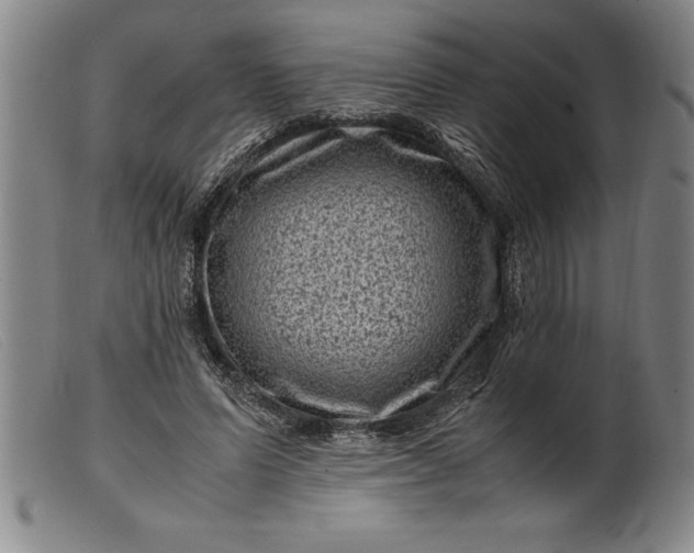 X0000099470591200805231832