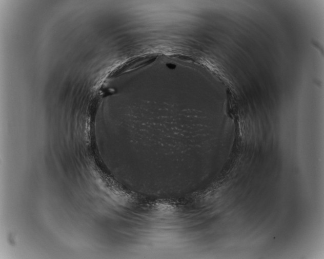 X0000099470592200805231832