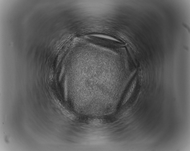 X0000099470593200805231832