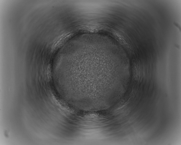 X0000099470594200805231832
