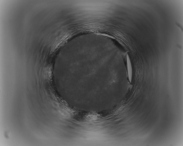X0000099470595200805231832