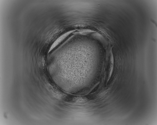 X0000099470597200805231832