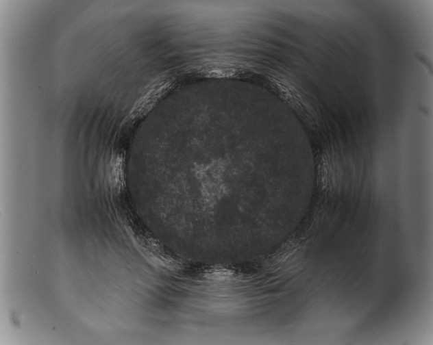 X0000099470598200805231832