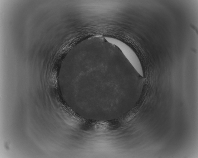 X0000099470599200805231832