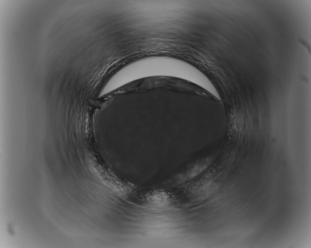 X0000099470600200805231832