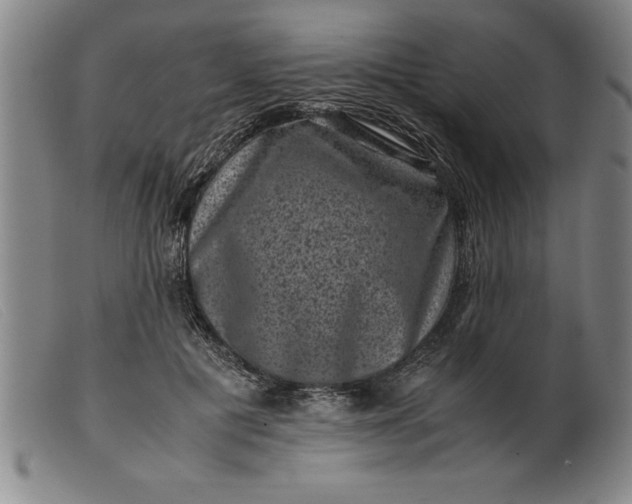X0000099470601200805231832