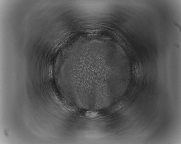 X0000099470602200805231832