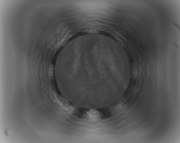 X0000099470603200805231832